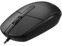 Sandberg Souris