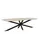 Vergadertafel Harper Deens Ovaal 300x100cm Naturel blad met Spinpoot