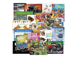 Beloningsposter-kaart De Stulp felicitatie A4 assorti