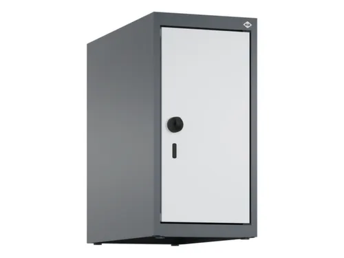 opzetkast,v. locker,1vak.,vak B 250mm,HxBxD 500x250x500mm,vleugeldeur