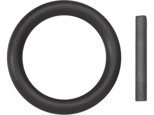 R83981105 Circlip/pen 1inch voor SW24-80mm