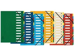 Exacompta Voorordner Harmonika Met 12 Vakken Assorti