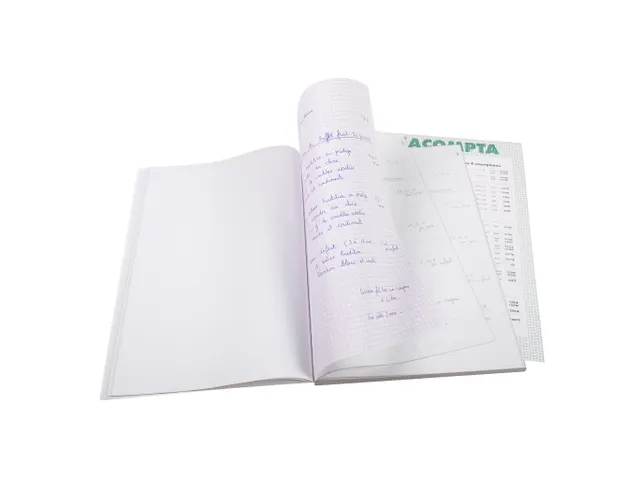 Orderboek Q5x5 29,7x21 50bl tripli