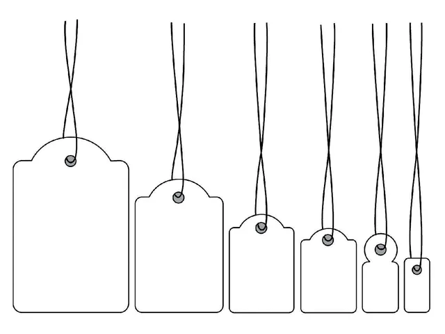 Label Karton Nr390 22X35Mm Wit Met Koord