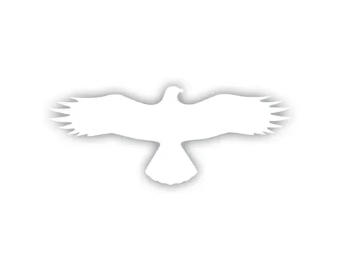 étiquette Rapace PVC blanc autoadhésif Hxl 145x367mm
