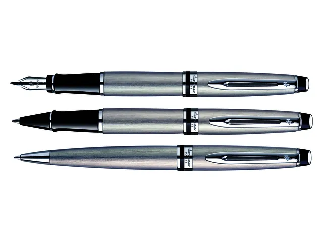 Vulpen Waterman Expert Stainless Steel CT Medium Blauwe inkt
