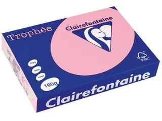 Trophée Pastel gekleurd papier A4 160 gram 250vel Roze - 2
