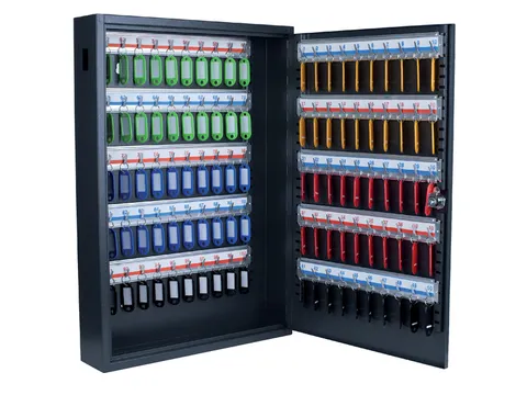 Sleutelkast Pavo deluxe 100 haken 550x380x90mm cilinderslot grijs