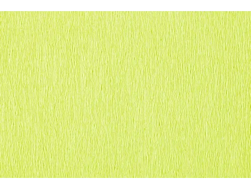 Crêpepapier Folia 50x250cm 10vel 145 lichtgroen