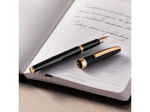 Stylo plume SHEAFFER Sagaris E9471 F Noir brillant ton or