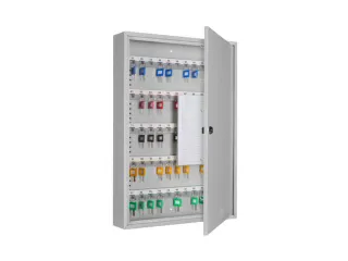 Sleutelkast Hxbxd 550X380X80Mm 100Haakjes 1Deur Ral7035 - 3