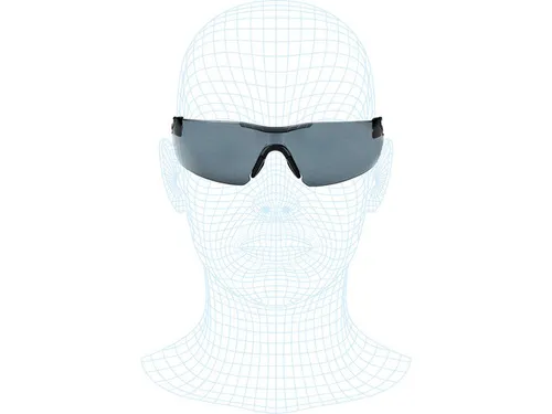 Veiligheidsbril Arco Mistral Grey