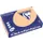 Trophée Pastel gekleurd papier A4 160 gram 250vel Abrikoos