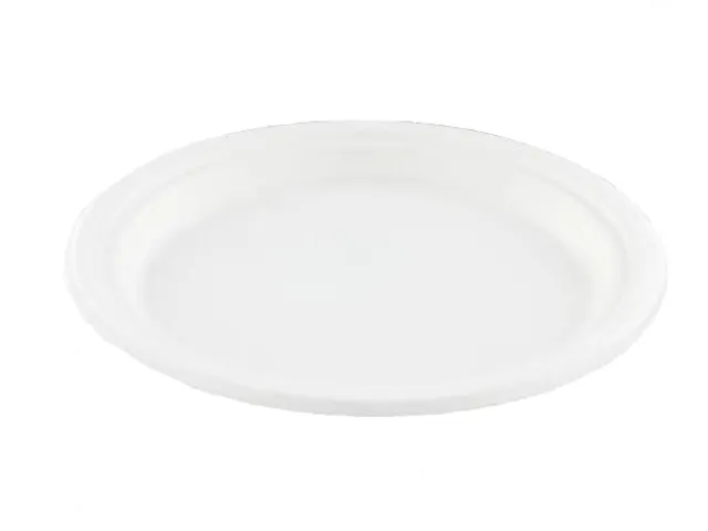 Suikerriet bord rond 23 cm wit milieuvriendelijk