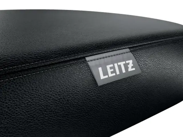 Zitkruk Leitz Ergo met wieltjes en comfortzitting 600x460x600mm zwart