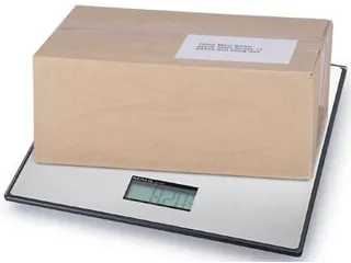 Pakketweger MAULglobal RVS weegt 0.1 tot 25 kg - 1