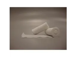 Bx24 Quick Elast. Hydrof 4Mx6Cm Verband