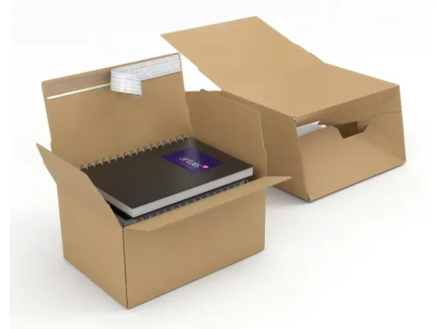 Postdoos Packfix Bruin Enkelgolf 200x200x100mm 20 Stuks