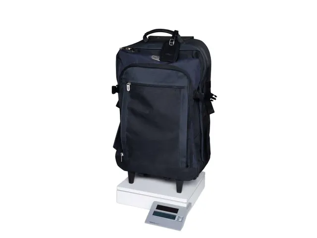 Pakketweger MAUL Parcel S 30x30cm solar 50kg