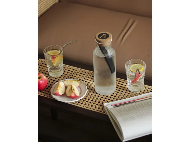 Waterfilter houtskool Les Artistes Paris set a 3 stuks Binchotan