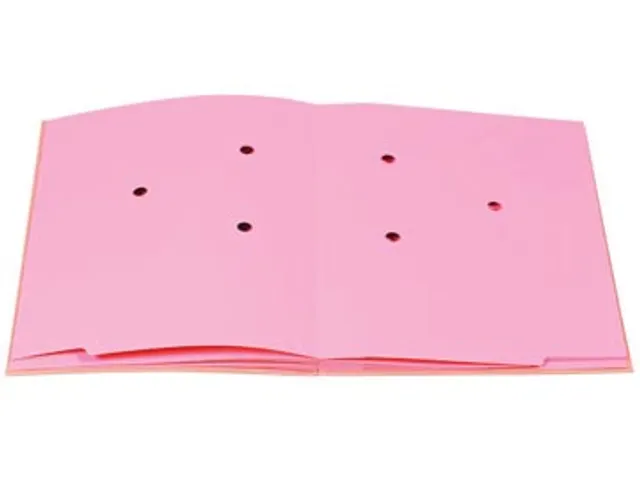 handtekenmap Forever A4 20 vakken roze