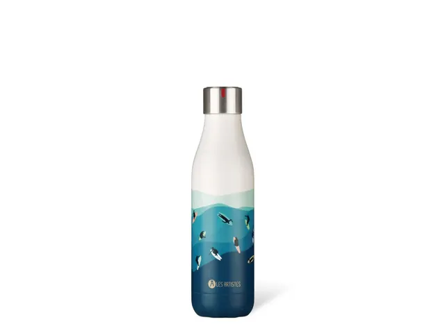 Thermosfles Les Artistes Paris 500ml Surf