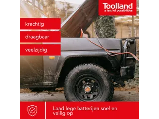 Lader Voor 12/24 V Lood-Zuurbatterijen - Met Boostfunctie - 20 A - 5