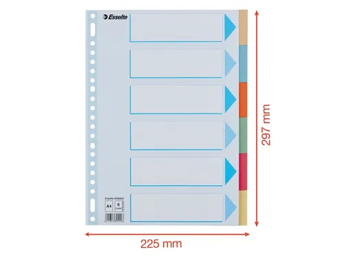 Tabbladen Esselte Premium A4 6-delig karton 23-rings assorti