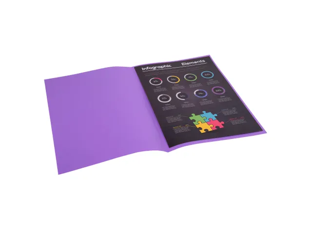 Pak van 30 inlegmappen ROCK''S 80 22x31cm Paars
