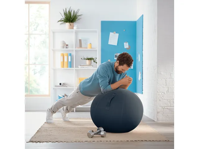 Leitz Ergo Cosy Actieve Zitbal Fluweel Grijs