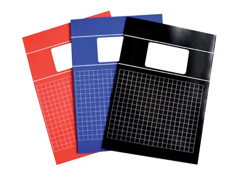 Schrift SOHO Basic A4 ruit 10x10mm 80 pagina's 60gr pak à 5 stuks