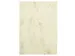 Kopieerpapier Papicolor A4 90gr 12 vel marble ivoor