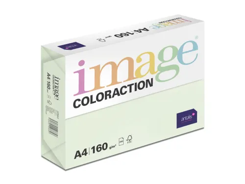Kopieerpapier Jungle Lichtgroen A4 160 Gram 250 Vel