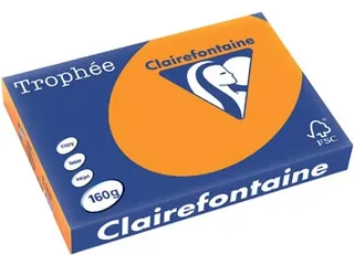 Trophée Intens gekleurd papier A3 160 gram 250vel feloranje - 1