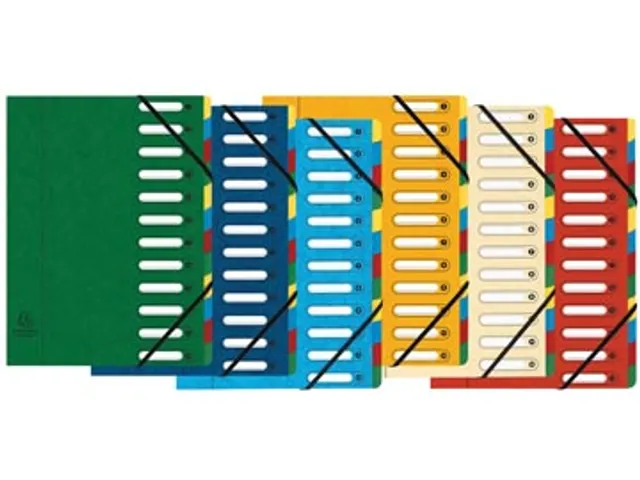 Exacompta Voorordner Harmonika Met 12 Vakken Assorti