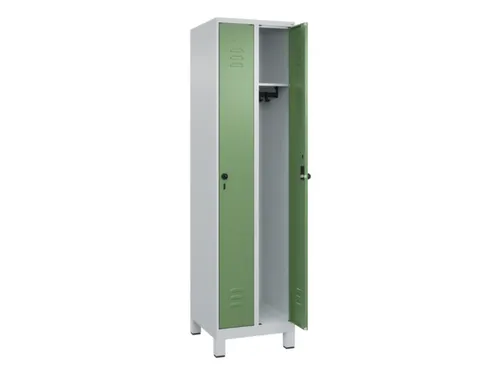 locker,HxBxD 1950x500x500mm,2vak,vak B 250mm,draaigrendel,voeten