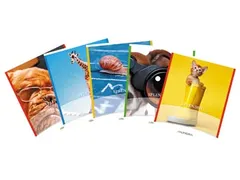 Splendid schrift, 36 bladzijden, ft 165x210mm, 2 lijnen assorti