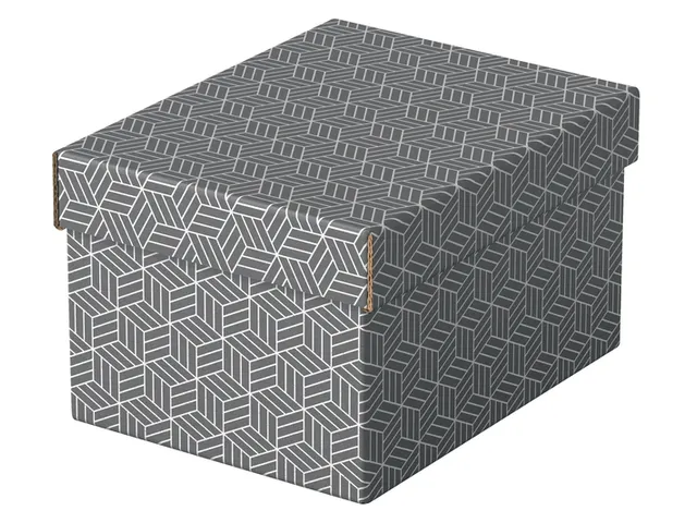 Esselte Home kleine opberg- en geschenkdoos karton grijs 3 stuks