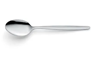Scandinave lepel uit inox - 1