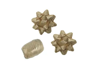 Polyband combi set glitter goud cadeaulint 1 ei 2 rozetten - 1