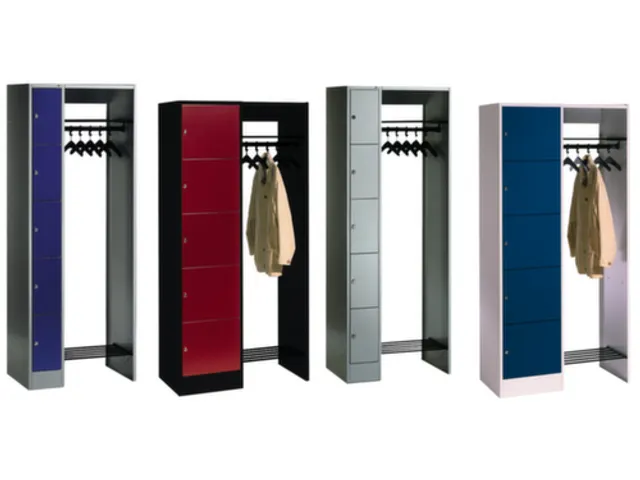 locker met kapstok,HxBxD 1950x740x480mm,romp RAL7035,front RAL7035