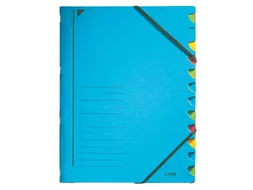 Sorteermap Leitz 3912 A4 12 vaks karton blauw