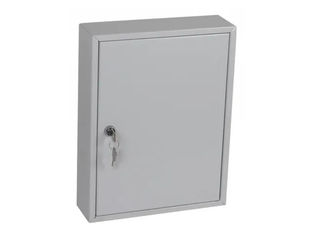 sleutelkast,42haak,HxBxD 350x270x80mm,romp grijs,front grijs