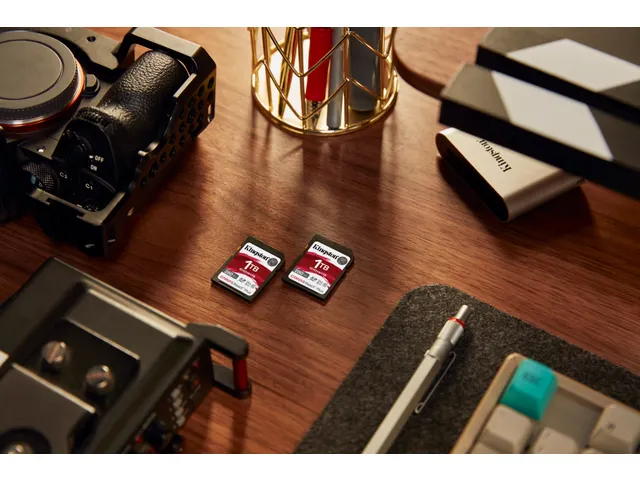 1TB Canvas React Plus SDXC UHS-II 280R/150W U3 V60 voor Full HD/4K