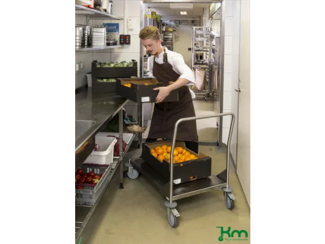 RVS duwbeugelwagen,draagverm. 200kg,laadvl. LxB 545x390mm,RVSplaat