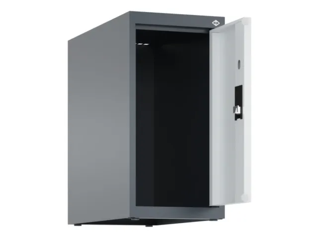 opzetkast,v. locker,1vak.,vak B 250mm,HxBxD 500x250x500mm,vleugeldeur