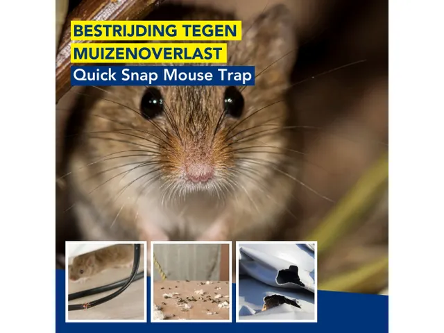 Quicksnap Muizenval, Promopack 4+2 Stuks