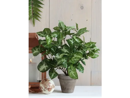 Kunstplant Mica Syngonium groen in pot 35x25cm