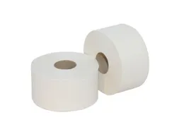 Toiletpapier 2-laags Mini Jumbo Wit Recycled Met koker 12 Rol