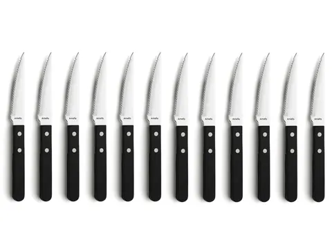 Couteau Amefa 7000 Steak 21cm Plastique/Inox 12 pièces